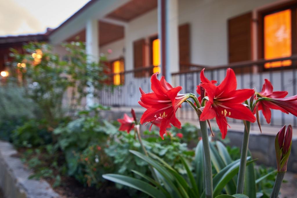 House Rena Apartment Vourvourou Bagian luar foto